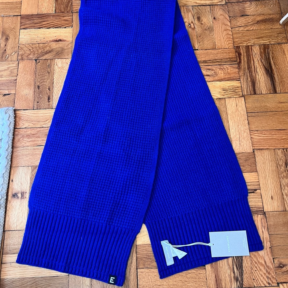 Everlane wool scarf in Azure Blue. NWT